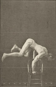 Plate 373 'Acrobat, — figure reference